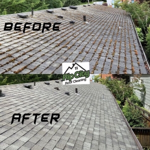 Photo of Rip City Roof Cleaning