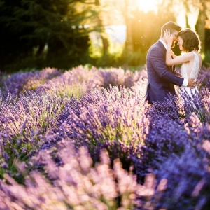 Photo of Woodinville Lavender