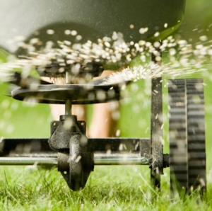 Photo of Brandscape The Landscaping Company