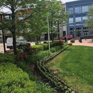 Photo of Q&A Landscaping