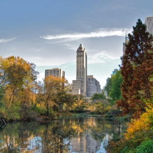 Photo of Apartment Placement Services