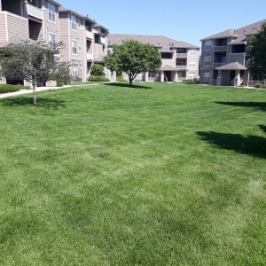 Longmont Fox Ridge Apartments