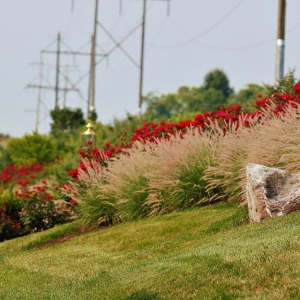 Frederick Poole Landscaping