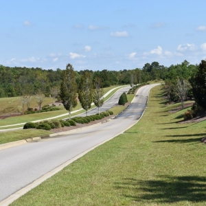 Photo of Saluda Hill Landscapes