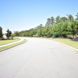 Photo of Saluda Hill Landscapes