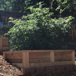 Photo of Backyard Boxes