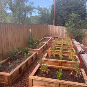 Photo of Backyard Boxes