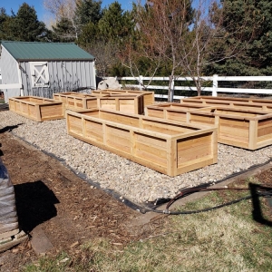 Photo of Backyard Boxes