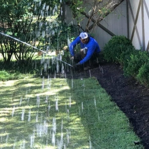 Photo of Ordaz Lawn & Landscaping Service