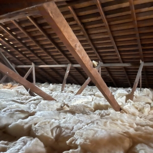 Photo of Attic Guys