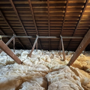 Photo of Attic Guys