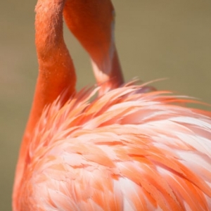 Photo of Leslie Wilkes Photography