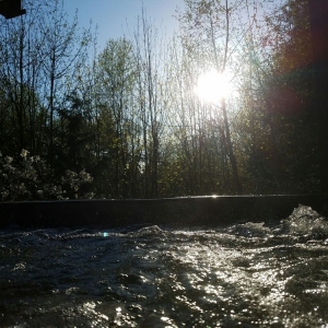 Photo of Four Seasons Pools & Spas