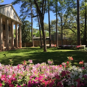 Photo of Taylor Landscape & Gardens