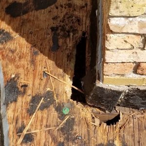 Photo of Ramsey Roofing