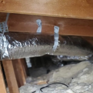 Photo of Attic Star
