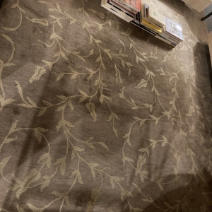 Photo of South Boston Carpet Cleaning