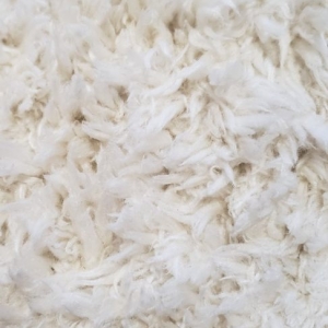 Photo of South Boston Carpet Cleaning