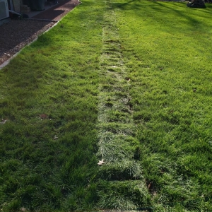 Photo of Waterproofing Solutions