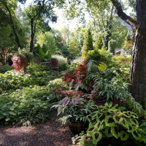 Photo of Sanger House Gardens