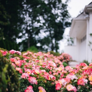 Photo of Blackjack Horticulture