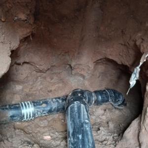 Photo of Shoreline Plumbing