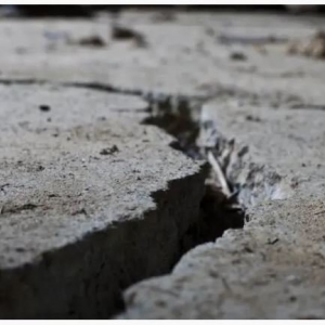 Photo of Longhorns Foundation Solutions