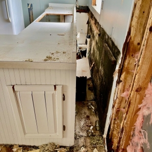 Photo of Mold Masters - North - Mold Remediation & Testing Experts