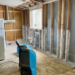 Photo of Mold Masters - North - Mold Remediation & Testing Experts