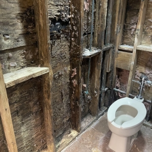 Photo of Mold Masters - North - Mold Remediation & Testing Experts
