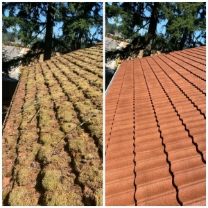 Photo of TL Solutions