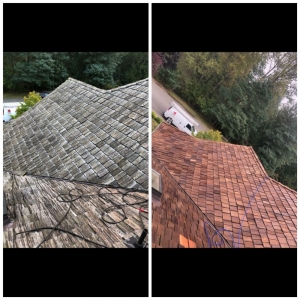 Photo of TL Solutions