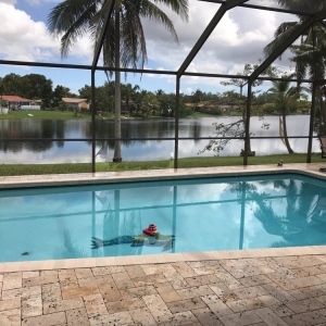 Photo of Sparkling Pools