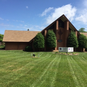 Photo of General Lawn Care