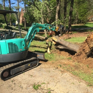 Photo of General Lawn Care