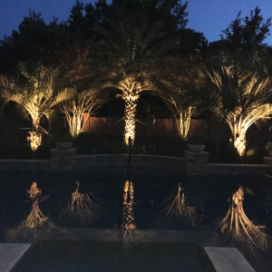 Photo of Houston Lightscapes