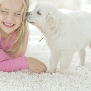 Photo of A&K Carpet Cleaning