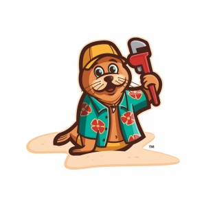Photo of Beach Plumbing