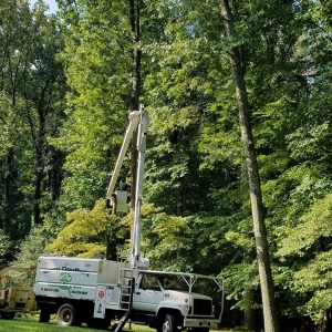 Photo of Browns Tree & Landscaping & Home Improvements
