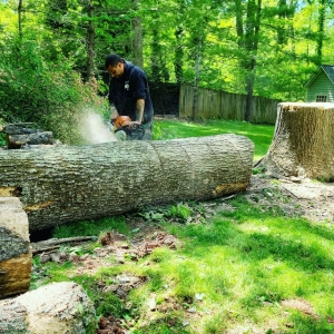 Photo of Browns Tree & Landscaping & Home Improvements