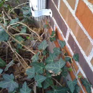 Photo of Action Home Inspection