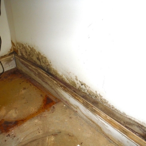 Photo of Biotek Environmental