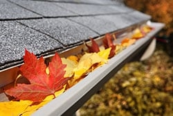 Photo of We Do Windows