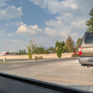 Photo of Rocket Express Car Wash