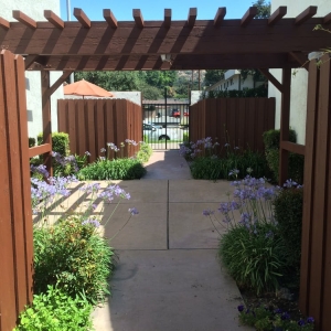 Photo of California Artscaping and Design