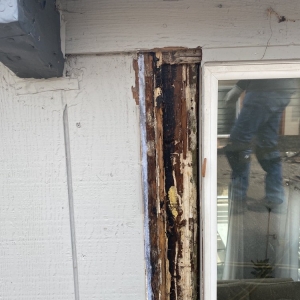Photo of Shelton Roofing