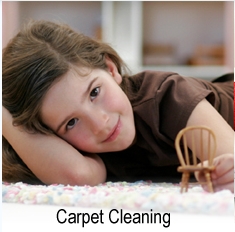 Photo of Heaven's Best Carpet Cleaning