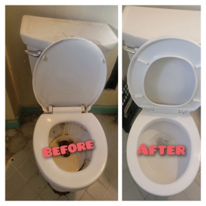 Photo of 801 Cleaning Services