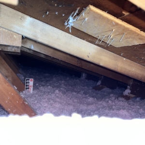 Photo of American Attic Reinsulation