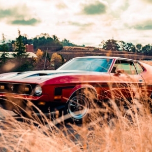 Photo of Zombie Transport